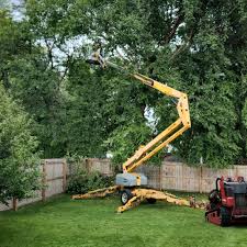 Best Lawn Maintenance Plans  in Palmetto, GA