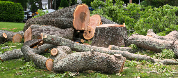 Best Firewood Processing and Delivery  in Palmetto, GA